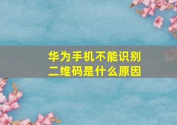 华为手机不能识别二维码是什么原因