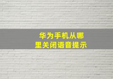 华为手机从哪里关闭语音提示