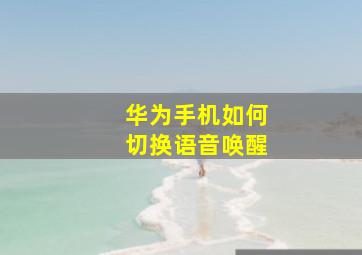 华为手机如何切换语音唤醒