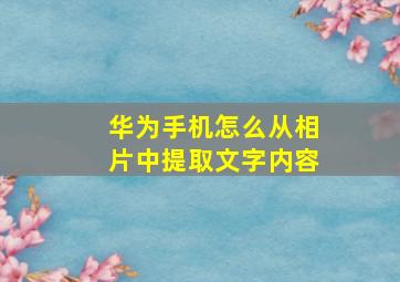 华为手机怎么从相片中提取文字内容