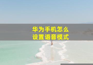 华为手机怎么设置语音模式