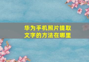 华为手机照片提取文字的方法在哪里