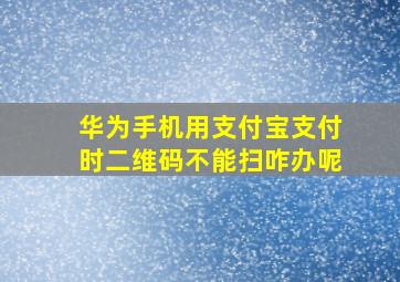 华为手机用支付宝支付时二维码不能扫咋办呢