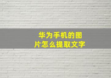 华为手机的图片怎么提取文字