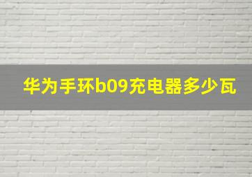 华为手环b09充电器多少瓦