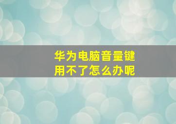 华为电脑音量键用不了怎么办呢