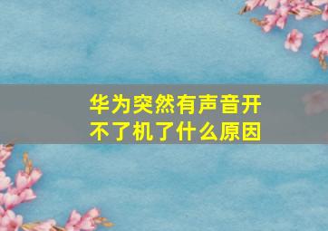 华为突然有声音开不了机了什么原因