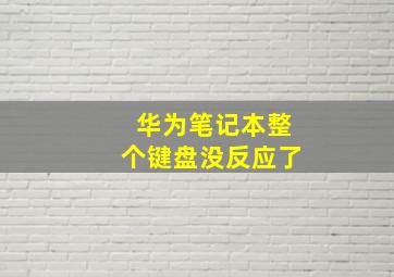 华为笔记本整个键盘没反应了