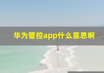 华为管控app什么意思啊