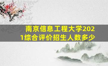 南京信息工程大学2021综合评价招生人数多少