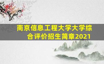 南京信息工程大学大学综合评价招生简章2021