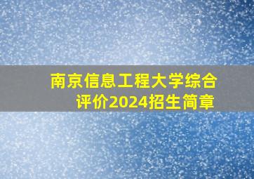 南京信息工程大学综合评价2024招生简章