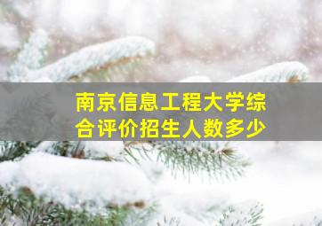 南京信息工程大学综合评价招生人数多少