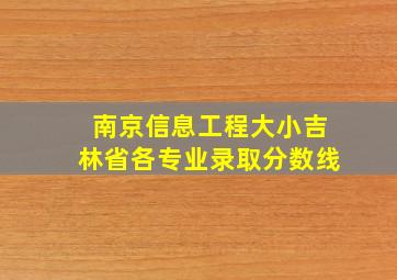 南京信息工程大小吉林省各专业录取分数线