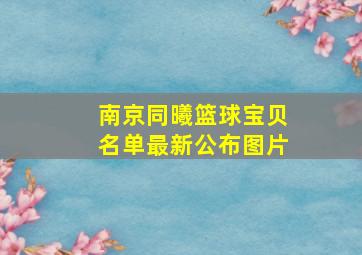 南京同曦篮球宝贝名单最新公布图片