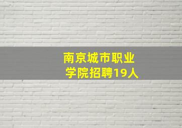 南京城市职业学院招聘19人