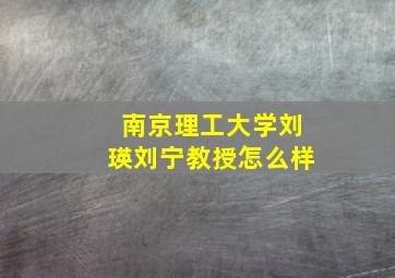 南京理工大学刘瑛刘宁教授怎么样