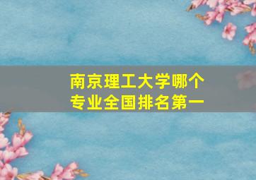 南京理工大学哪个专业全国排名第一