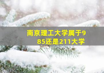 南京理工大学属于985还是211大学