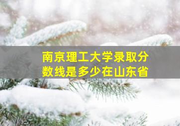 南京理工大学录取分数线是多少在山东省