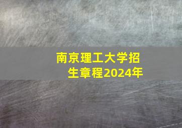 南京理工大学招生章程2024年