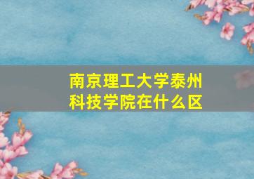 南京理工大学泰州科技学院在什么区