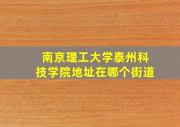 南京理工大学泰州科技学院地址在哪个街道