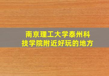 南京理工大学泰州科技学院附近好玩的地方