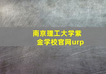 南京理工大学紫金学校官网urp