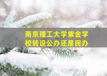 南京理工大学紫金学校转设公办还是民办