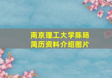 南京理工大学陈旸简历资料介绍图片