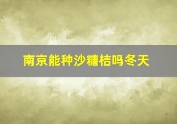 南京能种沙糖桔吗冬天