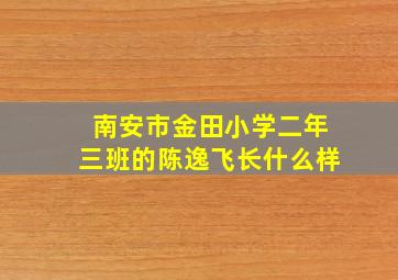 南安市金田小学二年三班的陈逸飞长什么样