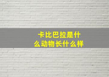 卡比巴拉是什么动物长什么样