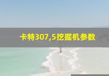 卡特307,5挖掘机参数