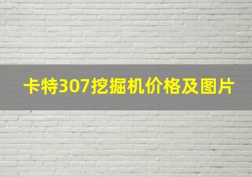 卡特307挖掘机价格及图片