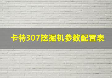 卡特307挖掘机参数配置表