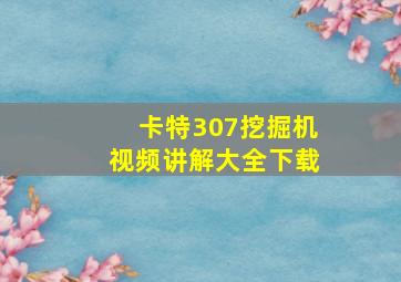 卡特307挖掘机视频讲解大全下载