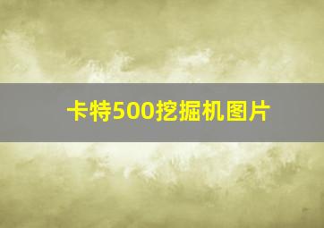 卡特500挖掘机图片