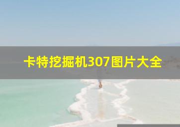 卡特挖掘机307图片大全