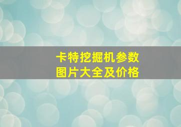 卡特挖掘机参数图片大全及价格