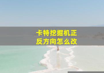 卡特挖掘机正反方向怎么改