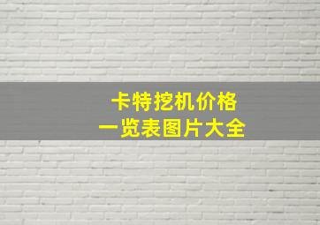 卡特挖机价格一览表图片大全