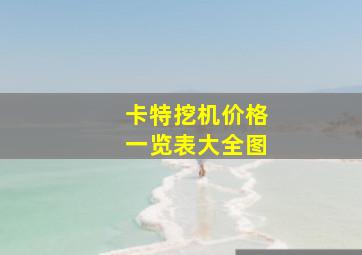 卡特挖机价格一览表大全图