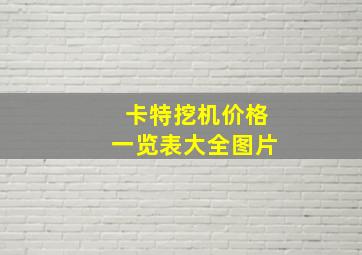 卡特挖机价格一览表大全图片