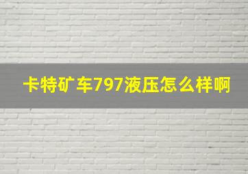 卡特矿车797液压怎么样啊