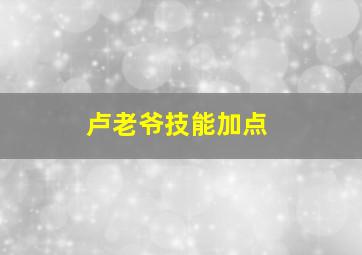 卢老爷技能加点