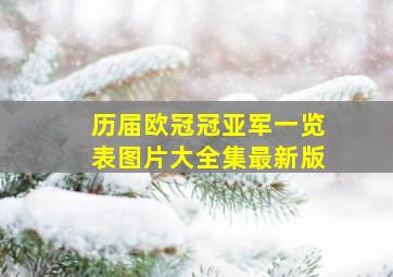 历届欧冠冠亚军一览表图片大全集最新版