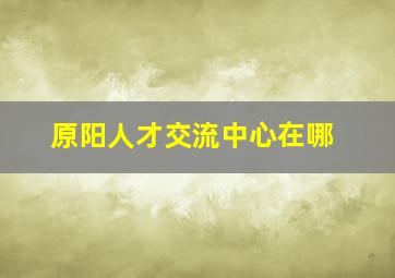 原阳人才交流中心在哪