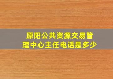 原阳公共资源交易管理中心主任电话是多少